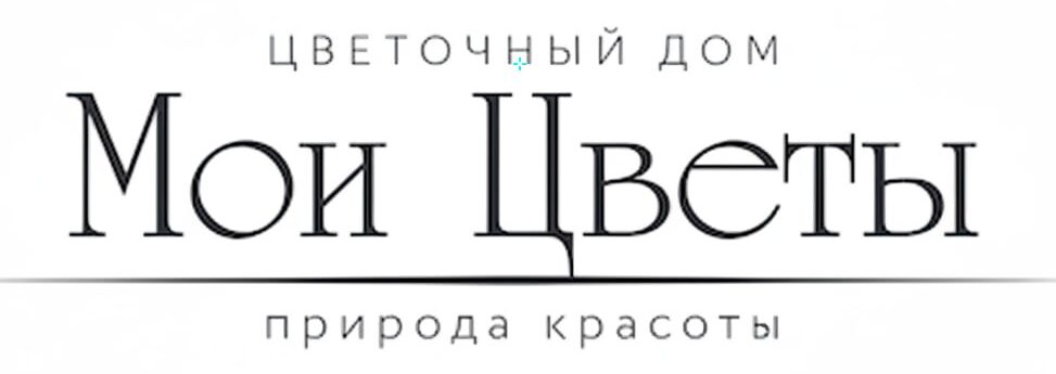 Мои Цветы